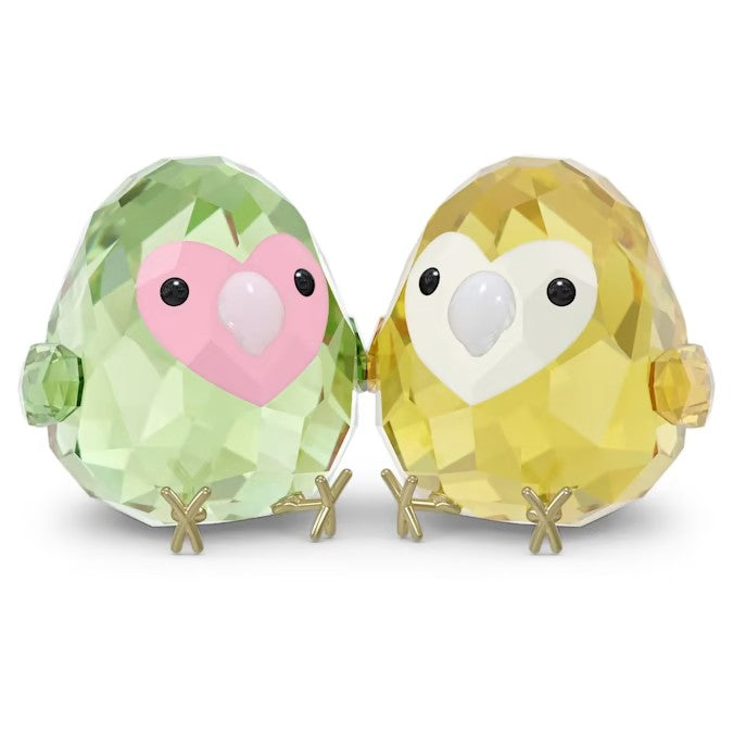 All you Need are Birds Coppia di Inseparabili