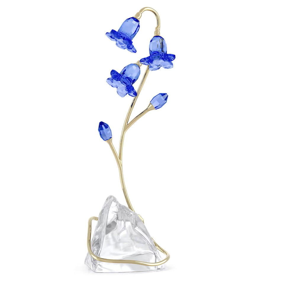 Florere Campanula Blu