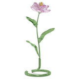 Florere Peonia