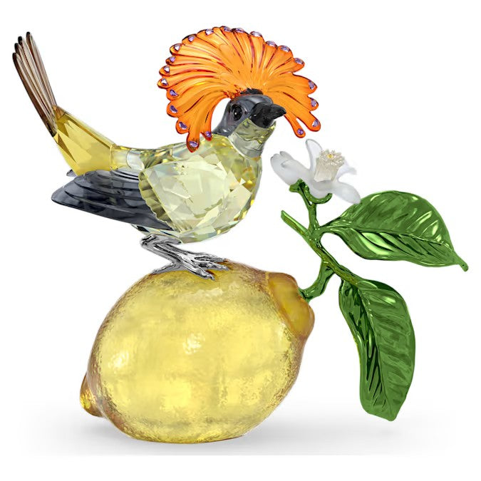 Idyllia Acchiappamosche reale
