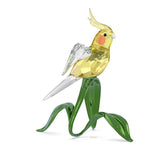 Idyllia Calopsitta