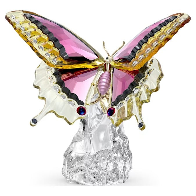 Idyllia Farfalla