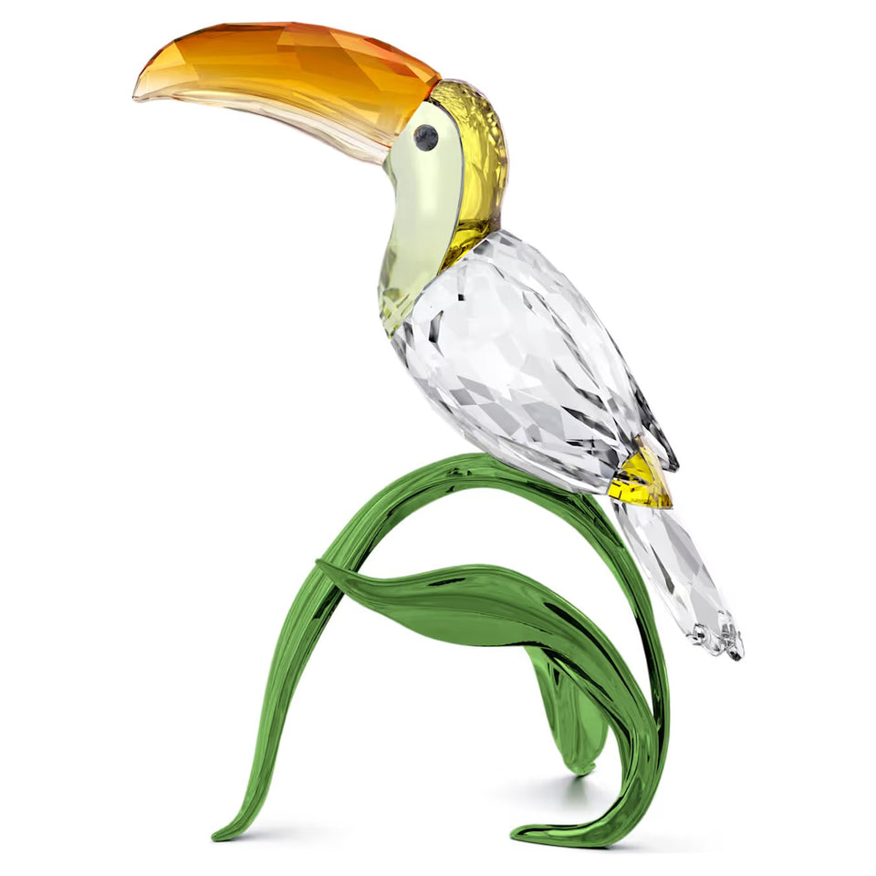 Idyllia Tucano